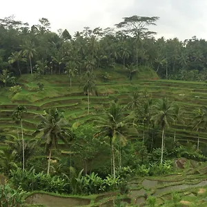 Homestay Pangkung House